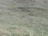 HWK 2015 049_small.jpg